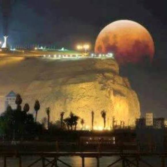 Meet your Posher, Mari - Picture 1 of 1